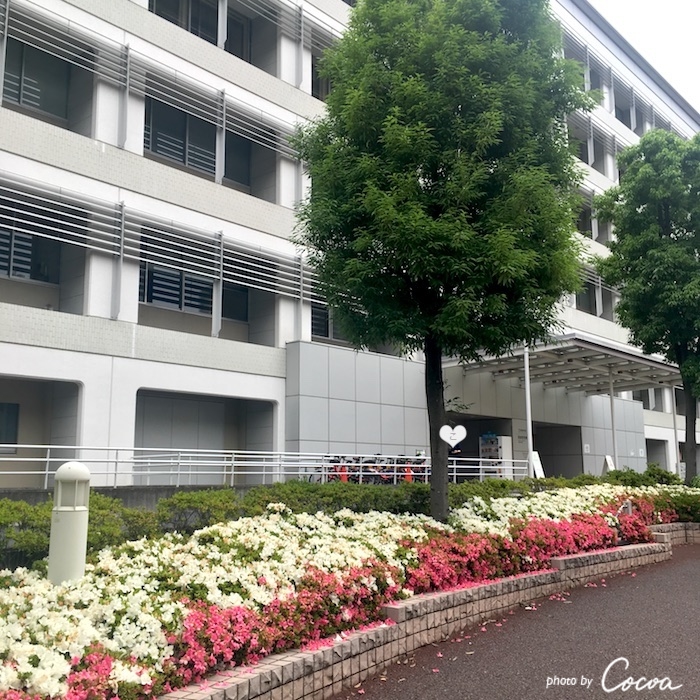 ポート情報 Ntt東日本 関東病院 南側 ココアの徒然散歩道