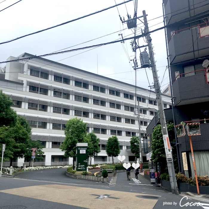 ポート情報 Ntt東日本 関東病院 南側 ココアの徒然散歩道